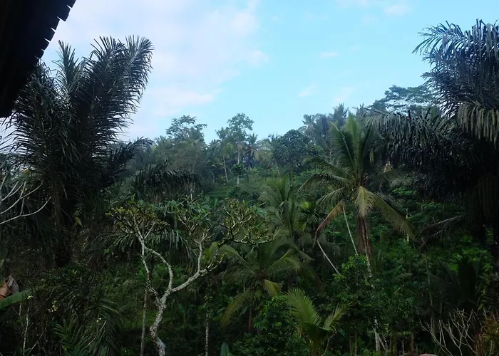 ロッジ Gunung Kawi House *